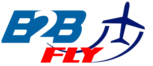 b2bfly.it